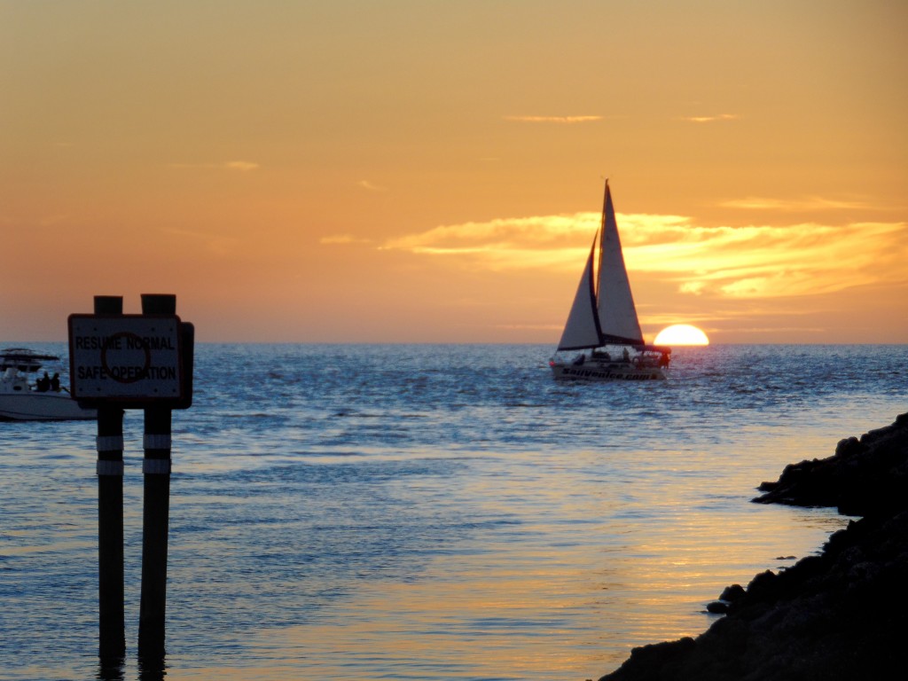 Area Beaches On Casey Key & Venice Island